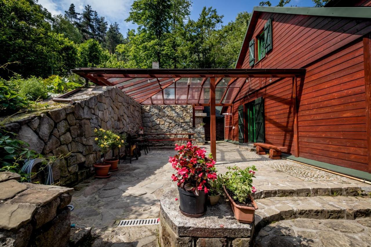 Bukowy Zdrój Krynica-Zdrój Exterior foto