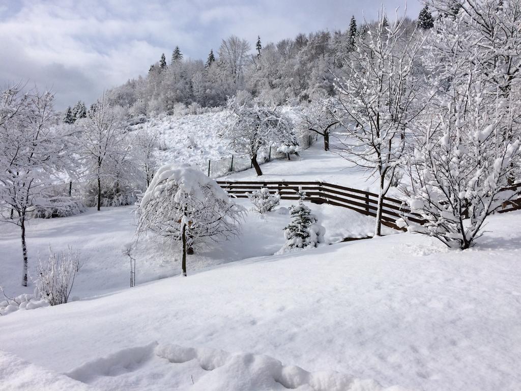 Bukowy Zdrój Krynica-Zdrój Exterior foto