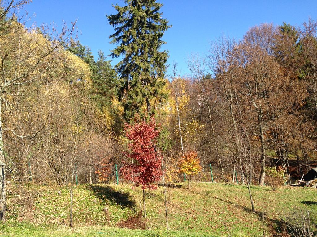 Bukowy Zdrój Krynica-Zdrój Exterior foto