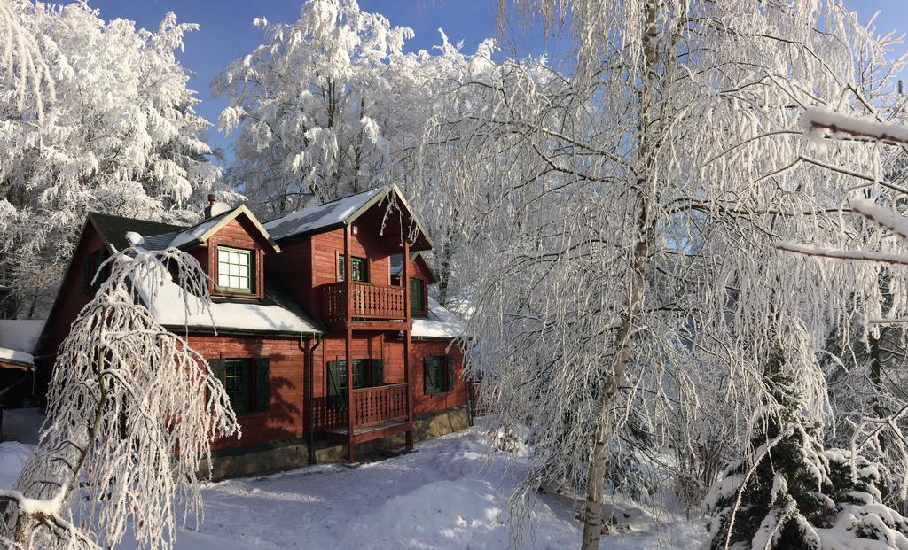 Bukowy Zdrój Krynica-Zdrój Exterior foto
